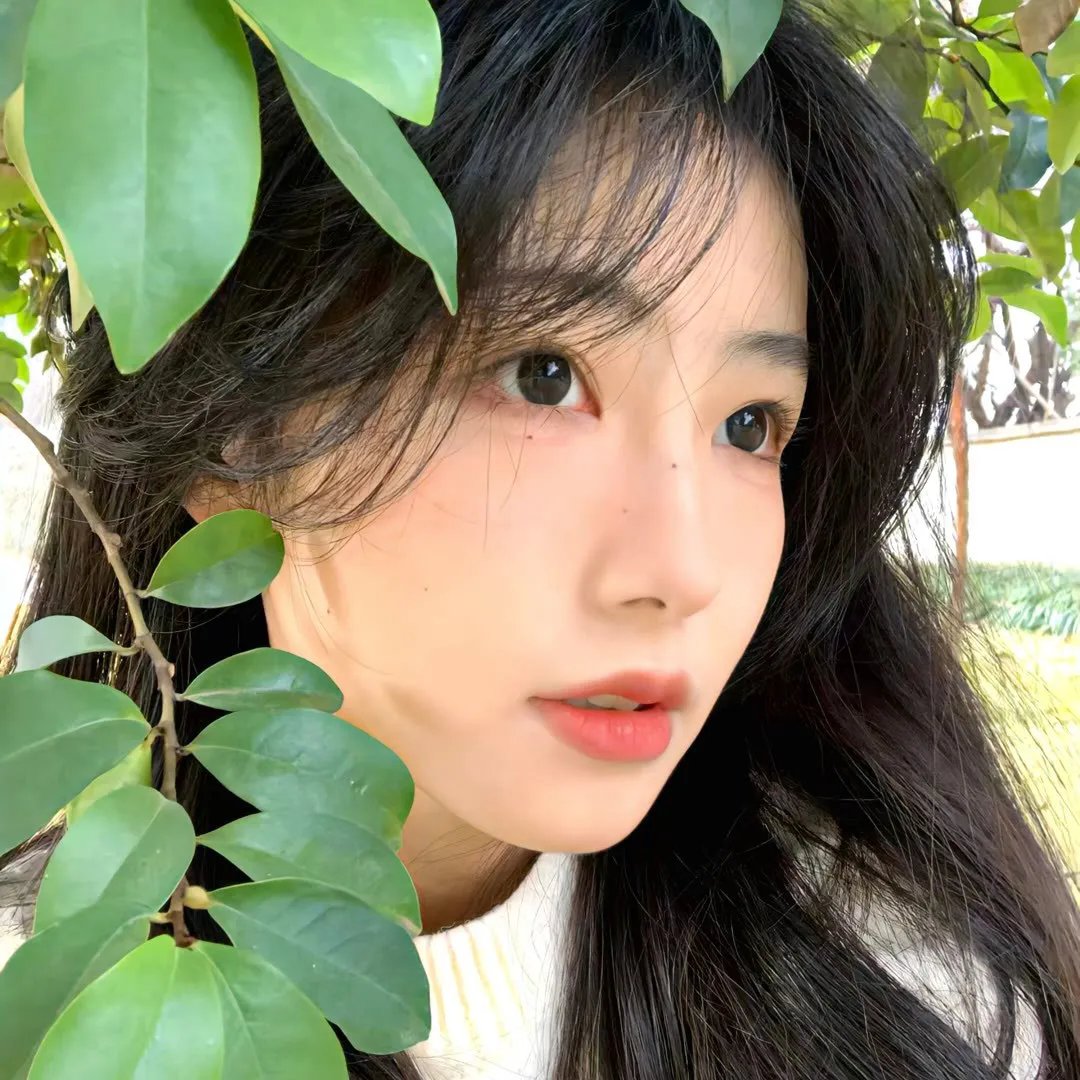 不得不爱第二季